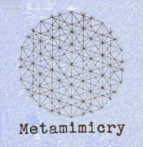 Metamimicry