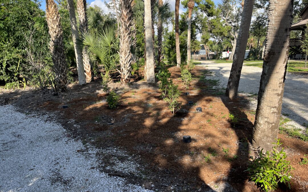 Photo Point 01 — Triangle Restoration Zone — October 2026